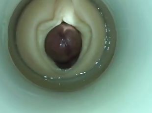 coño-pussy, amateur, gay