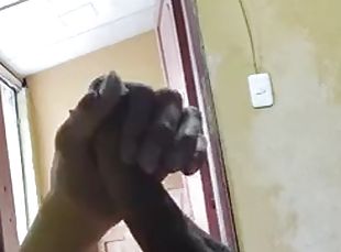 Masturbating my cock with the door open