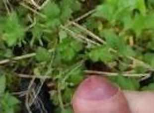 masturbation, en-plein-air, amateur, ejaculation-sur-le-corps, ejaculation-interne, solo