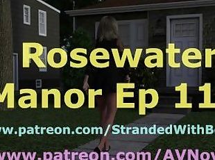 Rosewater Manor 113