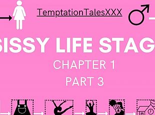 Sissy Cuckold Husband Life Stages Chapter 1 Part 3 Audio Erotica