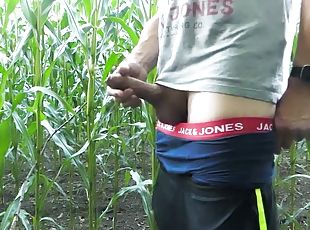 Big pissing and hot games with corncobs, my cock and ass in the cornfield