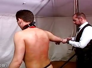 fête, fellation, milf, gay, bdsm, esclave, fétiche, bondage