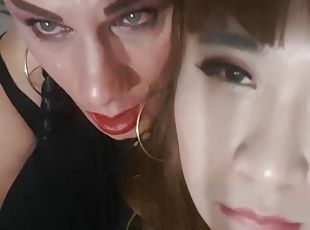 Sissy pantyhose sex