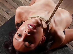 PORNSTARPLATINUM MILF Dee Williams Torments Jackie Ohh