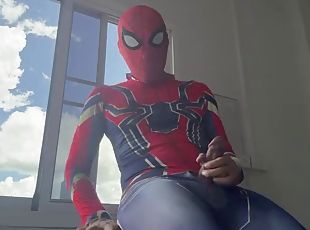 Spiderman work from home