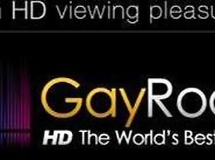 homosexuell