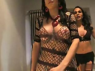 tetas-grandes, transexual, anal, mamada, hardcore, sadomasoquismo, zorra, lencería