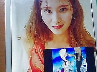 twice sana cum tribute