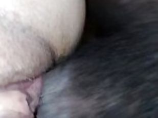 Pussy cum