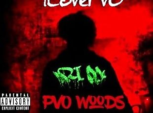 ILovePvO - PvO Woods 8