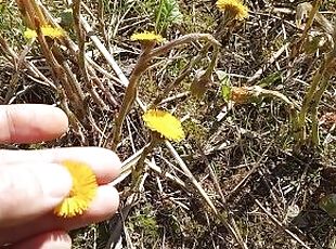 Cute young flowers