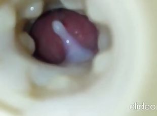 amateur, ejaculation-sur-le-corps, gay, ejaculation, vagin, solo, bite