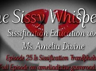 Is Sissification Transphobic  The Sissy Whisperer Podcast