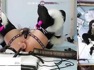 amateur, gay, japonais, bdsm, machines, solo, bondage