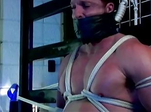 gay, bdsm, serrée, bondage, boules, musclé