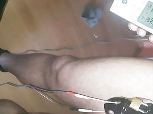 homofil, tysk, bdsm, familie, fetisj