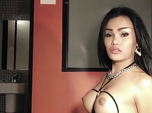 asiatique, transsexuelle, amateur, fellation, point-de-vue, thaï