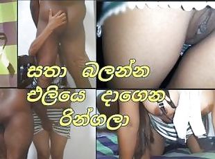 asia, gambarvideo-porno-secara-eksplisit-dan-intens