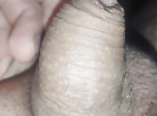 gay, minuscule, bite