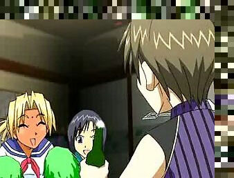 Pornografik içerikli anime